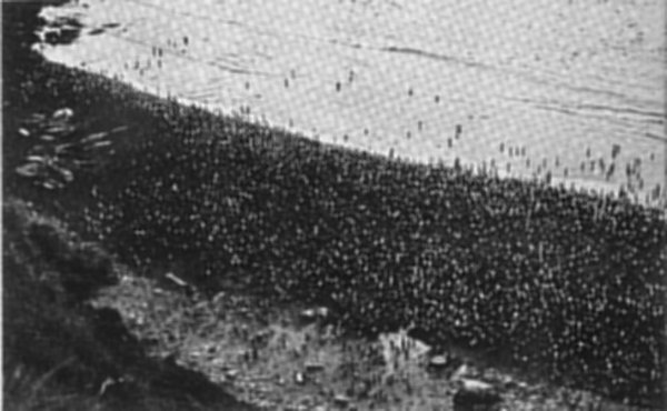 MARION ISLAND'S 'MUIZENBURG'.
